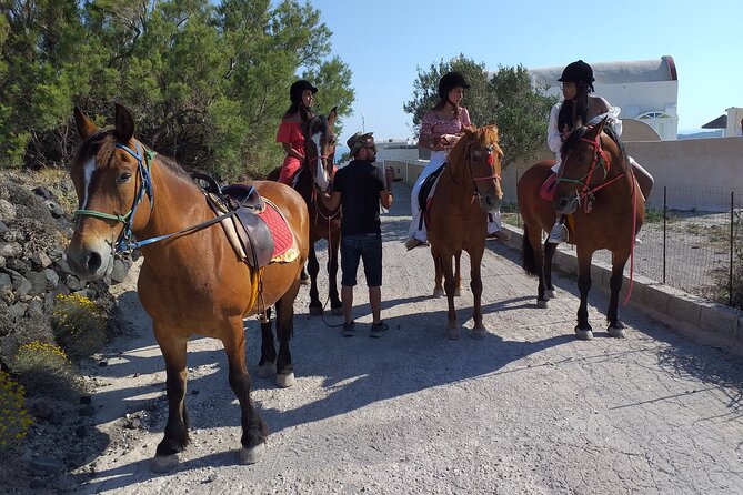 Horse Riding: Explore Secret Thera - Guide quality: friendly, sometimes limited English