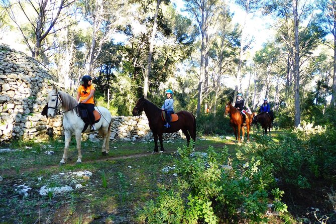 Horseback Riding in Cala Mitjana, Menorca, Spain - Safety, comfort, and what you are actually given