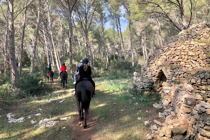 Horseback Riding in Cala Mitjana, Menorca, Spain - Price and value: what $114.84 buys you