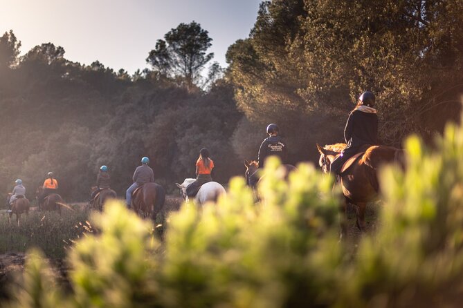 Horseback Riding in Cala Mitjana, Menorca, Spain - Who should book this horseback ride