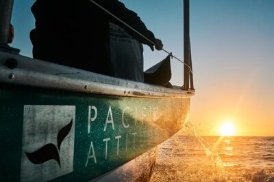 Humpback whale watching and marine life in Moorea - Your meeting points: Hauru versus Pacifik Attitude