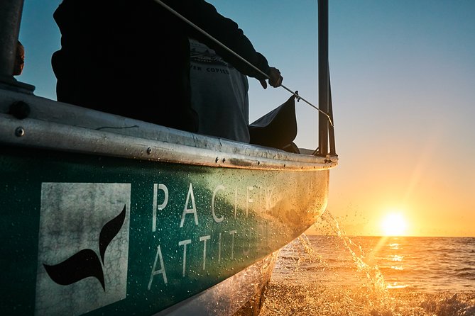 Humpback whale watching and marine life in Moorea - Your meeting points: Hauru versus Pacifik Attitude
