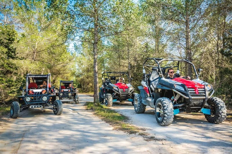 Ibiza: Buggy Sightseeing Excursion - Value and price: what you’re paying for (and what costs extra)