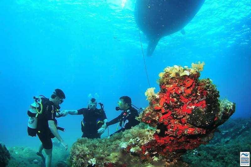 Ibiza Scuba Diving for Beginners and Snorkeling - First Steps on a San Antonio Boat