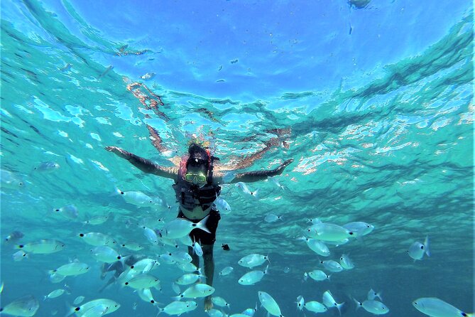 Ibiza Snorkeling Beach and Cave Tour - Key Highlights You Should Care About