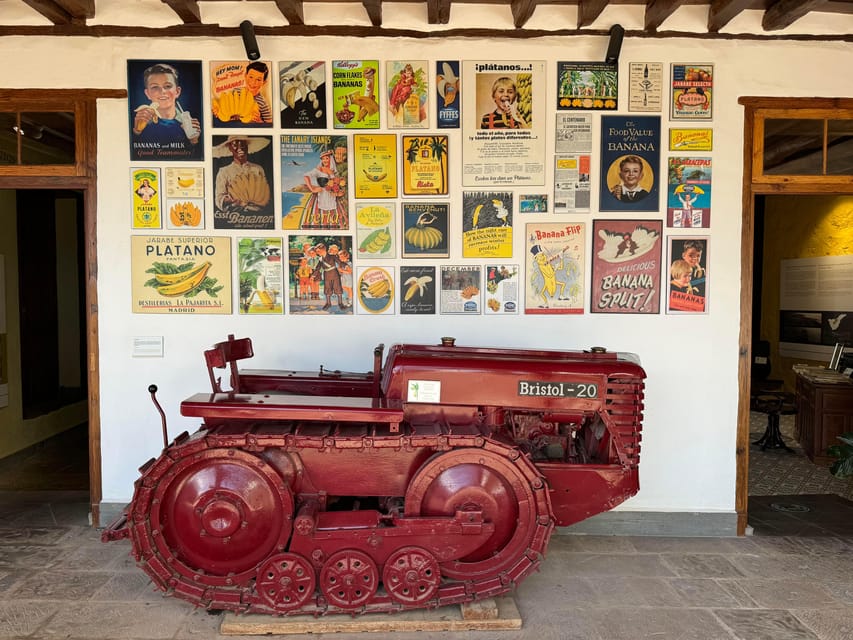 Icod de los Vinos: Casa del Plátano Entry Ticket - Key things to know before you go