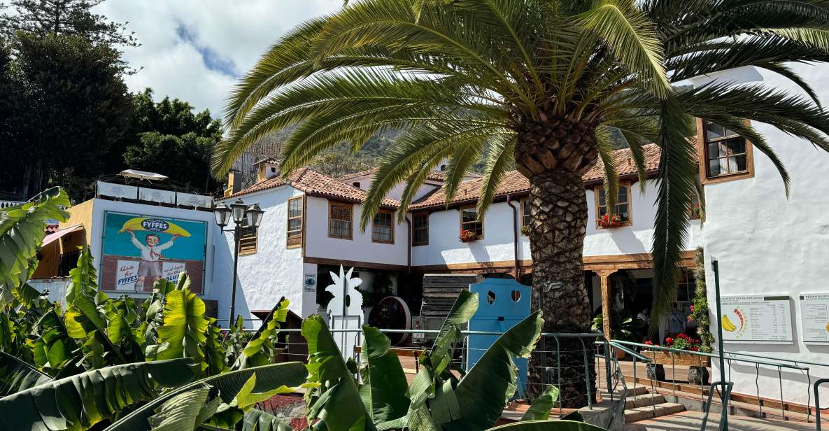 Icod de los Vinos: Casa del Plátano Entry Ticket - Your self-guided flow: historic house, panels, and a plantation walk