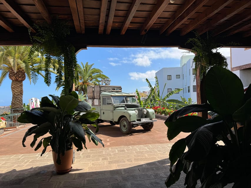 Icod de los Vinos: Casa del Plátano Entry Ticket - The plantation tour: what to look for on the plants
