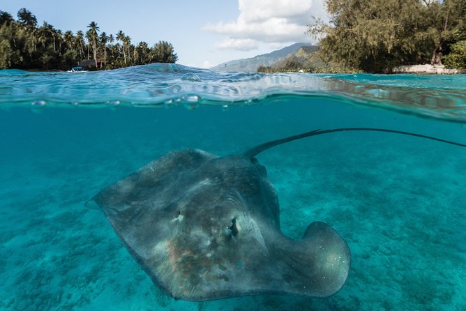 Introduction to sailing and discovering the lagoon - Who This Tour Fits Best (and Who Might Reconsider)