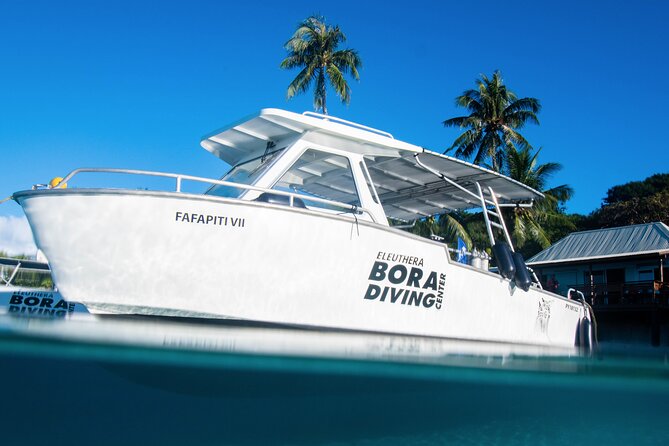 Introductory Dive in Bora Bora (afternoon) - Gear, boat style, and the small comfort details that matter