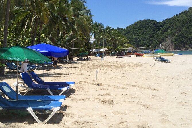 Isla Tortuga boat tour - from Paquera - Snorkeling off volcanic rocks: gear, visibility, and wildlife chances