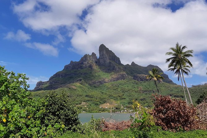 Island Tour & Getaway on the Bora Bora Mountains by Quad / ATV - ATV Mountains in Bora Bora: The Simple Reason This Works