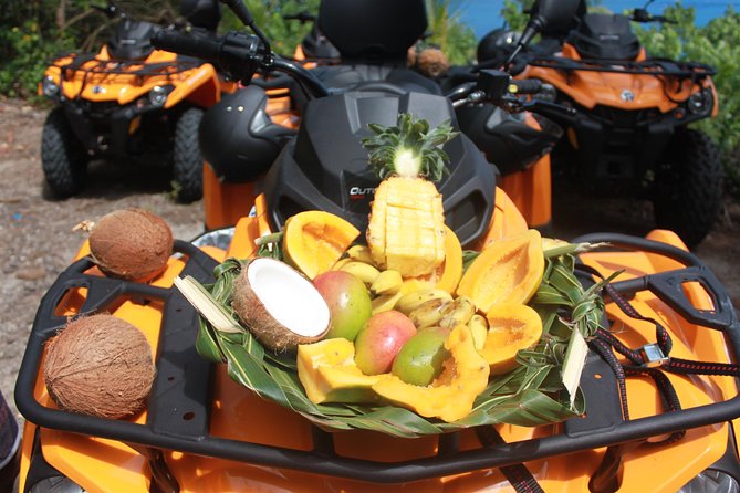 Island Tour & Getaway on the Bora Bora Mountains by Quad / ATV - Vehicle Condition and the Solo ATV Question (Read This Before Booking)