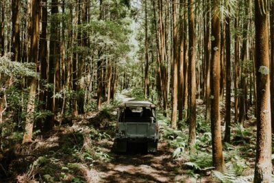 Jeep Safari Tour - Terceira Island FD - Banana Eco Camp Coffee Stop: A Slow Moment in the Middle of Driving