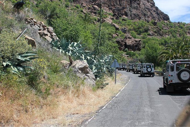 Jeep Tour 4x4 in Gran Canaria - Fataga: Ravine of the 1,000 Palm Trees and the Village Mood