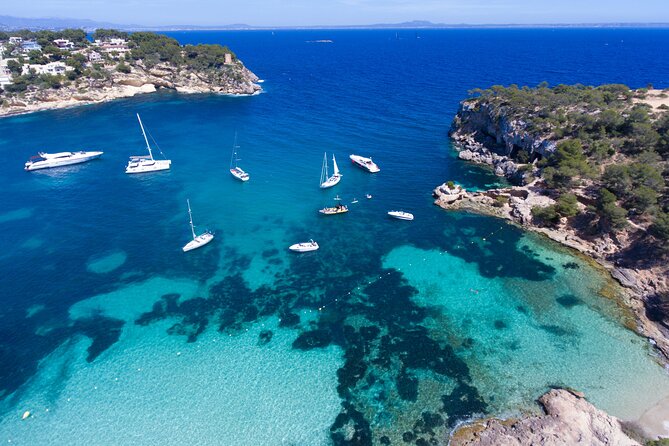 Jet Boat Excursion in South West Coast of Mallorca - Weather, Timing, and When It’s Actually Worth Your Time