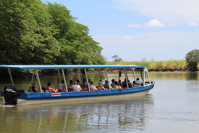 Jungle Cruise at Palo Verde National Park - Why the Palo Verde Jungle Cruise Feels Like Value