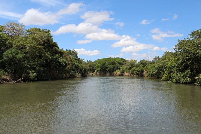 Jungle Cruise at Palo Verde National Park - Stop 3: Hacienda El Viejo Wetlands (National Heritage in Practice)