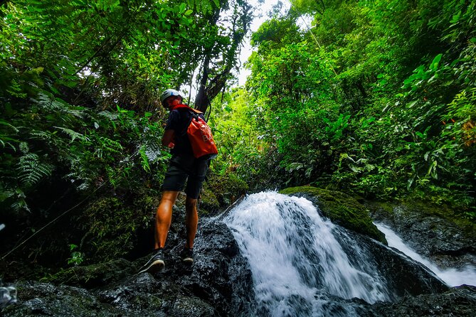 Jungle Hike with Canyoning and Rappelling in Drake Bay - Key Highlights