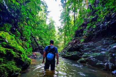 Jungle Hike with Canyoning and Rappelling in Drake Bay - Getting There at 7:00 AM: 4x4, Gear, and a Plan for Safety