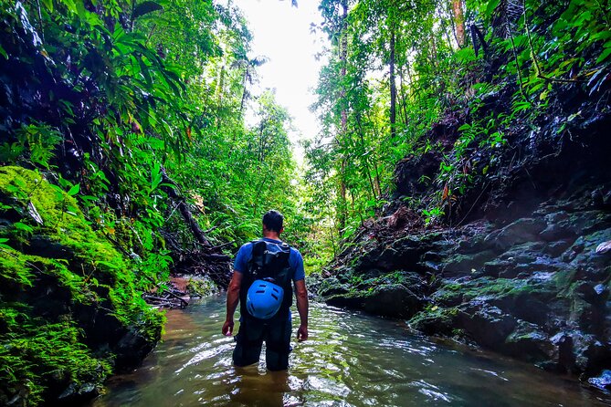 Jungle Hike with Canyoning and Rappelling in Drake Bay - Getting There at 7:00 AM: 4x4, Gear, and a Plan for Safety