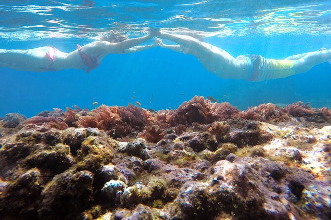 Kayak and Snorkeling Tour in Underwater Nature Reserve Garajau - Guides Matter: Local Stories, Safety Check-Ins, and Real Humor