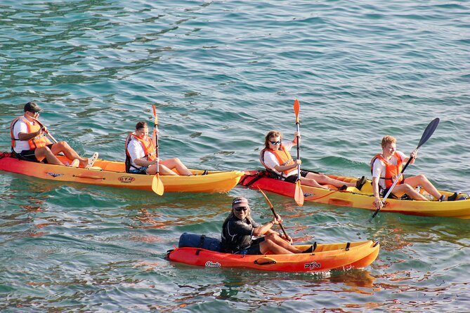 Kayak Excursion to Papagayo - Key Highlights You Should Know