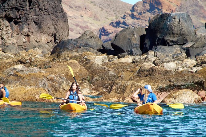 Kayak Experience @ Ponta de São Lourenço - Who should book this kayak at Ponta de São Lourenço