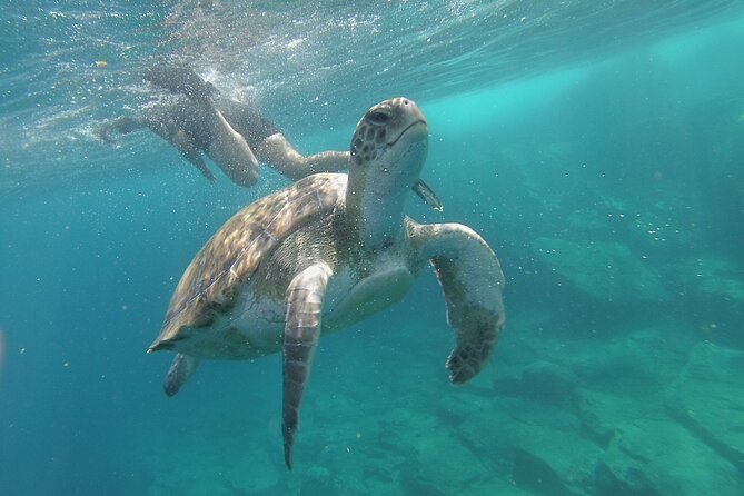 Kayak Route along the Volcanic Coast in Tenerife South with Snorkeling - The Kayak Route Along the Volcanic Coast (Plus Caves)