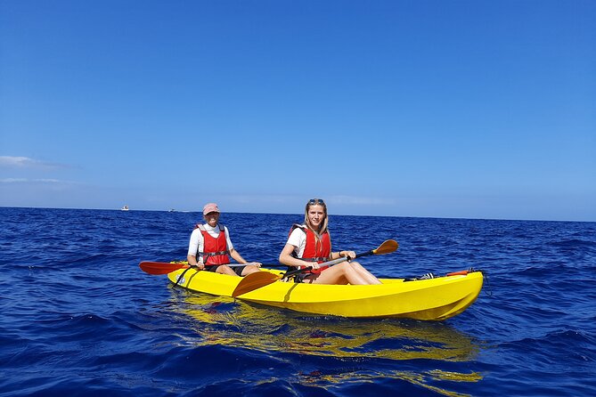 Kayak Safari with Dolphin and Turtle Watching in Guaza - Why This Guaza Kayak Safari Feels Like Real Wildlife Time