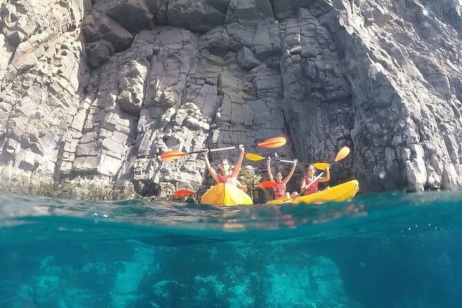 Kayak Safari with Dolphin and Turtle Watching in Guaza - Teno Rasca Marine Strip: Where You Look for Dolphins and Turtles