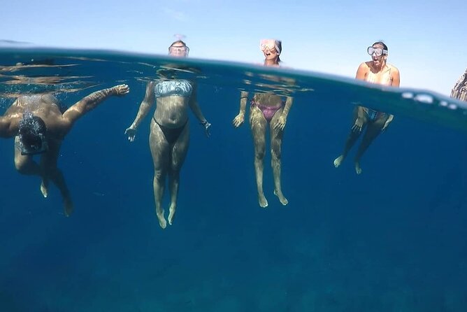 Kayak Safari with Dolphin and Turtle Watching in Guaza - Snorkeling With Included Gear: Great Underwater Variety, Mixed Visibility
