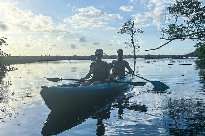 Kayak Through the Mangroves - Mangrove Paddling: Calm Water, Loud Nature