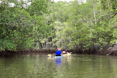 Kayak to the Heart of the National Park - Your kayak lesson: gear, safety, and learning the strokes that matter