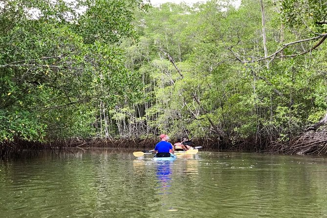 Kayak to the Heart of the National Park - Your kayak lesson: gear, safety, and learning the strokes that matter