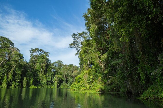 Kayak Tour - Key Highlights You’ll Feel Fast