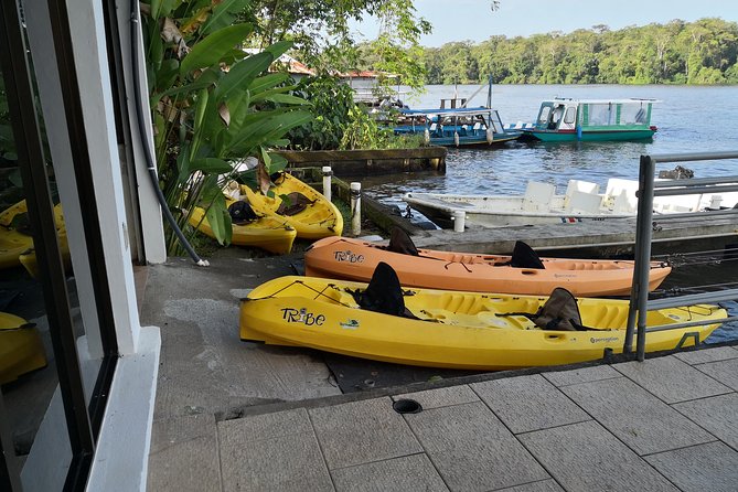 Kayak Tour - Why Sunrise Kayaking in Tortuguero Feels Worth It