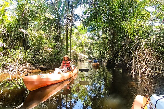 Kayak Tour - How Hard Is the Paddle? Fitness and Pacing Expectations