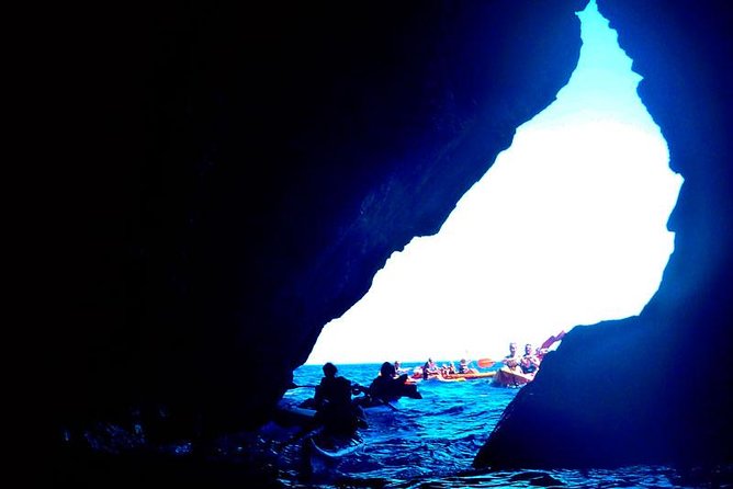 Kayak Tour in the Marine Reserve ! - Kayak Tour in the Marine Reserve: Quick Hits
