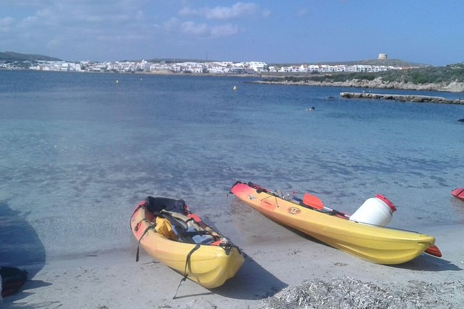 Kayak Tour in the Marine Reserve ! - Snorkeling Stops: Wildlife Chances and How to Get More From Them