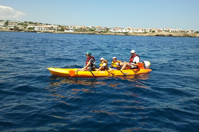 Kayak Tour in the Marine Reserve ! - When This Tour Fits Best (And When It Might Not)