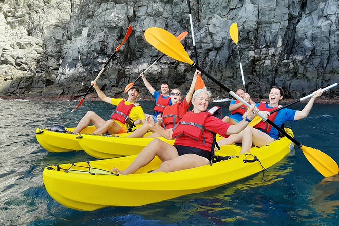 Kayak with Dolphin & Turtle Watching Private Tour - Key Points You’ll Care About Before You Paddle