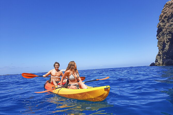 Kayak with Dolphin & Turtle Watching Private Tour - The Kayak Comfort + Snorkeling Gear Combo (And Why It Changes the Experience)