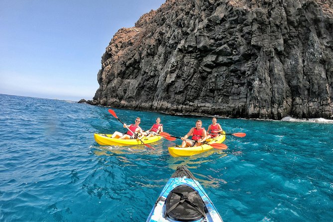 Kayak with Dolphin & Turtle Watching Private Tour - How the Guide Impacts Safety and Your Chances of Seeing Wildlife