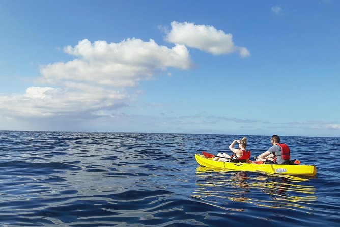 Kayak with Dolphin & Turtle Watching Private Tour - Who This Tour Fits Best (And Who Might Skip It)