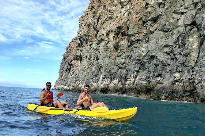Kayak with Dolphin & Turtle Watching Private Tour - The 3.5-Hour Plan: From Pickup to Sunset Photos