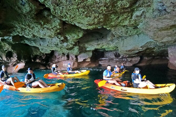 Kayaking Adventure Route with Snorkeling in Mogan Caves - Price and Value: Is $62.91 Worth It?