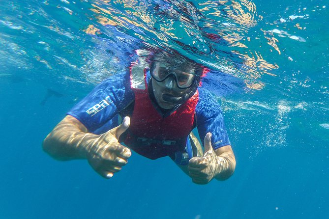 Kayaking and snorkeling - The “kayak then snorkel” rhythm on Fuerteventura’s coast