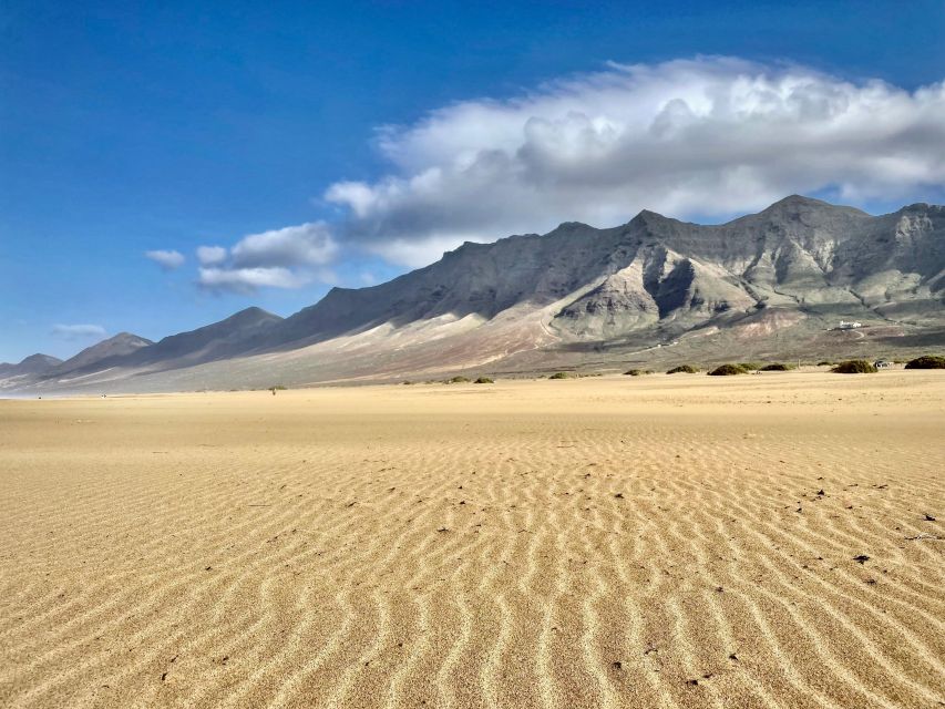 Kingdom Jandia: Cofete Beach & Roque Del Moro - Cofete and Roque del Morro: The kind of Fuerteventura you can’t reach by bus