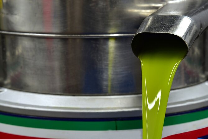 Kleanthi Olive Farm: Guided Tour with Local Delicacies Tasting - The tasting table: olive oil paired with Cretan comfort foods